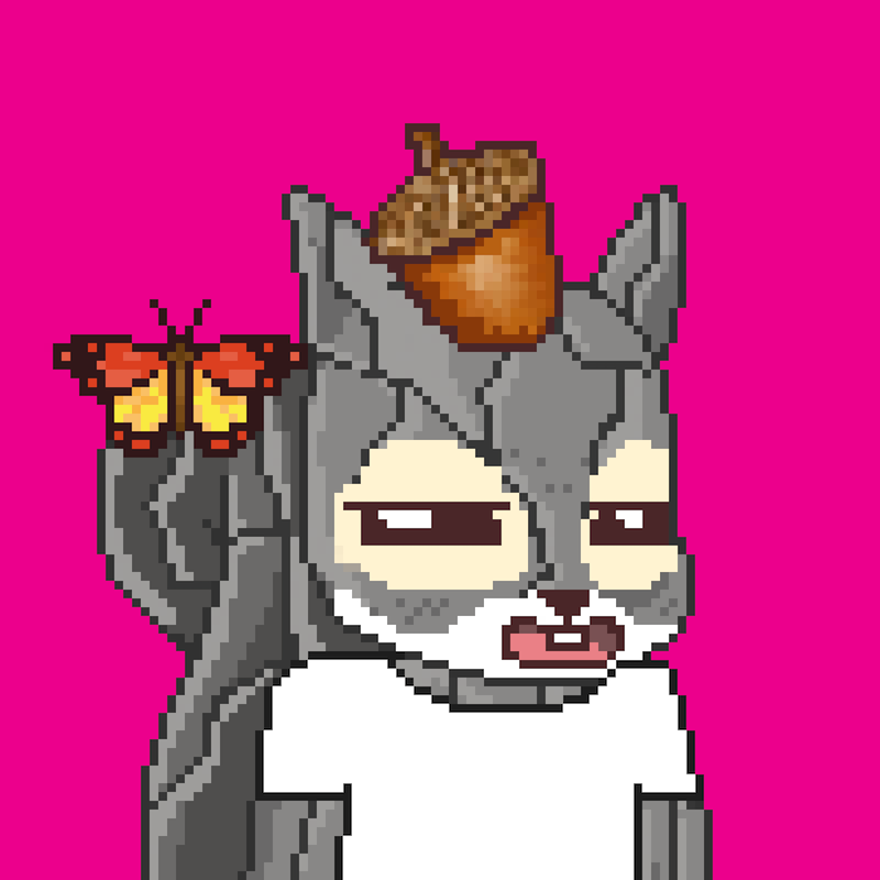 Pixel Squirrels #2552